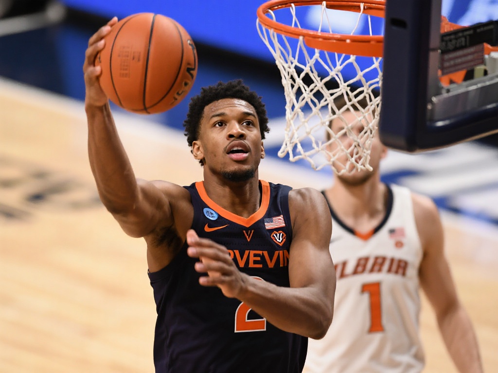 用于引进更 用于引进更